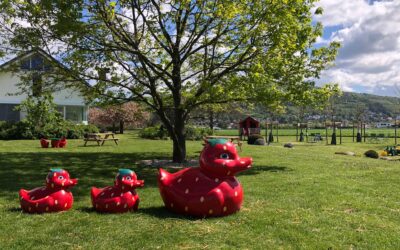 Unser neuer Spielplatz ist da!